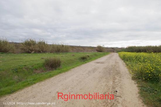 Terreno rústico en venta en Don Benito - BADAJOZ