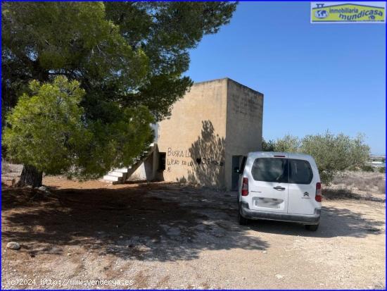 Terreno Rústico en La Matanza de Fortuna con Cuarto Agrícola y Agua de Riego - MURCIA