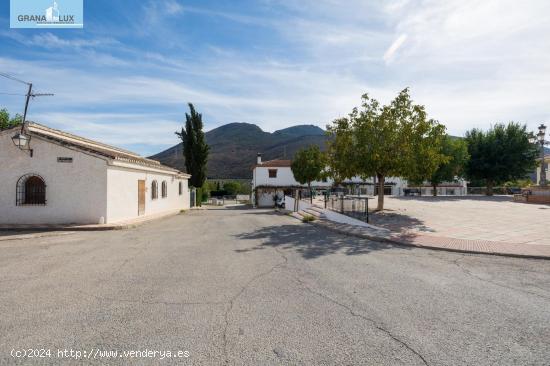 FINCA RUSTICA EN CAPARACENA - GRANADA