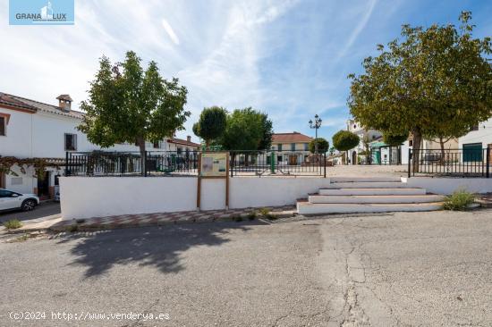 FINCA RUSTICA EN CAPARACENA - GRANADA