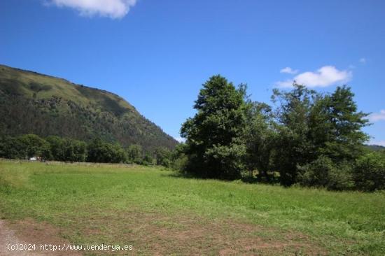 Se Vende en Ruente - CANTABRIA