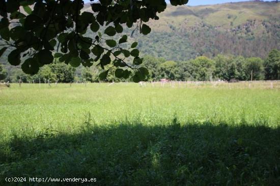 Se Vende en Ruente - CANTABRIA