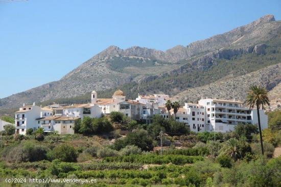 parcela en urbanización tranquila y exclusiva - ALICANTE