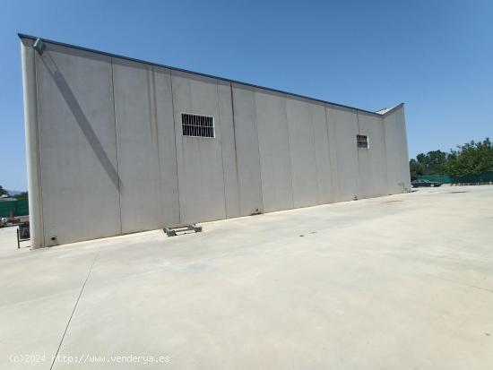 NAVE INDUSTRIAL CON PARCELA EN ALGEZARES - MURCIA