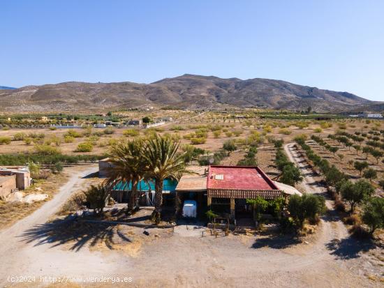  Finca de 21 Hectáreas en Tabernas - ALMERIA 