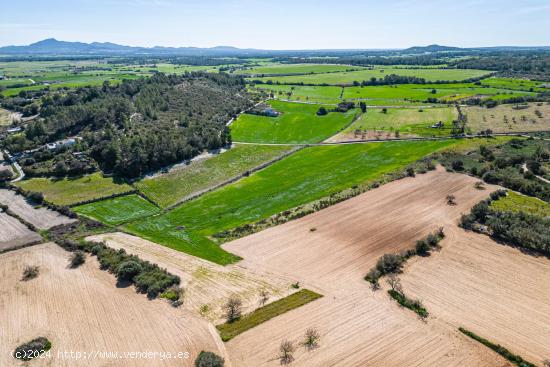 Finca rústica con muchas posibilidades en Sant Joan - BALEARES