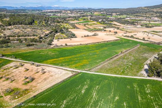 Finca rústica con muchas posibilidades en Sant Joan - BALEARES