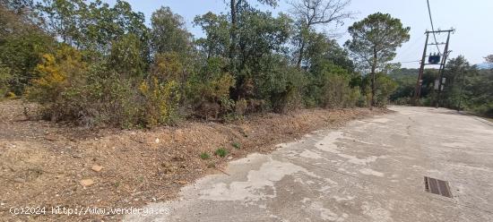 GRAN TERRENO EDIFICABLE ENTRE CAMPINS Y GUALBA RODEADA DE NATURALEZA - BARCELONA