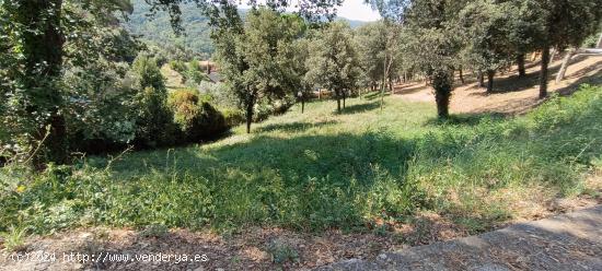 SANTA MARIA DE PALAUTORDERA (CAN BOSC): GRAN PARCELA EDIFICABLE ENTRE SANT CELONI Y LLINARS - BARCEL