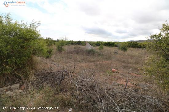 TERRENO RUSTICO EN VALL D'UIXÓ - CASTELLON