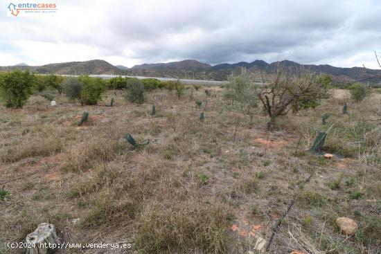 TERRENO RUSTICO EN VALL D'UIXÓ - CASTELLON