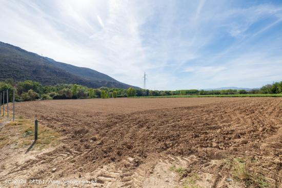 FINCA RUSTICA EN CAPARACENA - GRANADA