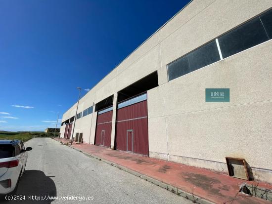  Nave en venta en polígono El Estanquillo, Burguillos - SEVILLA 