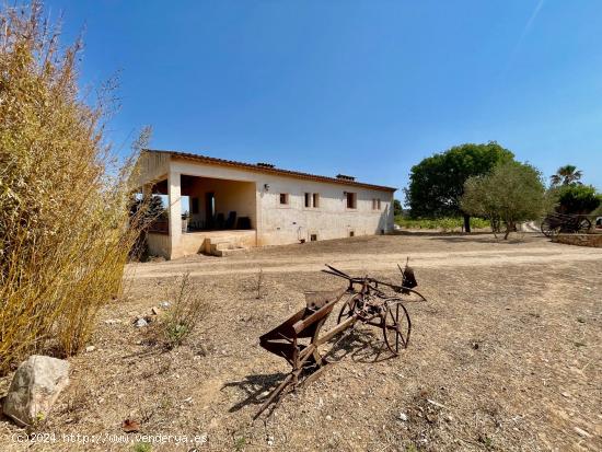 ¡Finca Totalmente Legalizada Y CON CEDULA DE HABITABILIDAD en el Corazón de Mallorca! - BALEARES