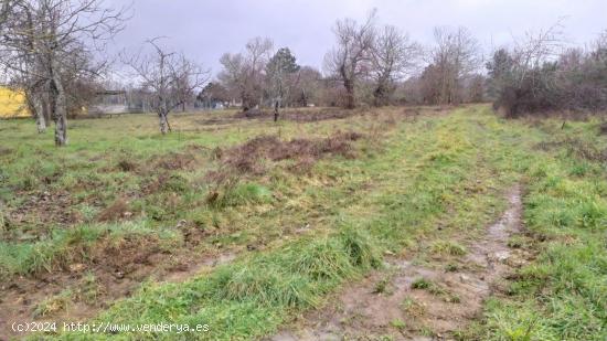 SE VENDE SOLAR EN CABAÑAS RARAS - LEON