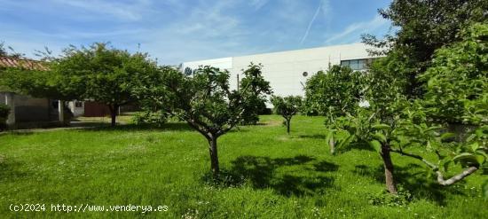 TERRENO URBANO EN SANTIAGO DE CARTES.- - CANTABRIA