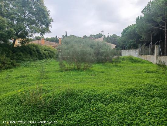 Parcela en zona Valdeazahares - CADIZ