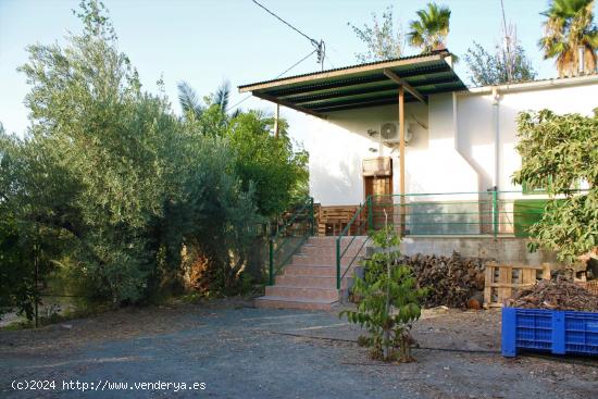 CASA+NAVE+PISCINA+PARCELA EN PRODUCCIÓN EN EL GINETE - MURCIA