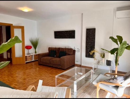 ALQUILER DE EXCELENTE VIVIENDA ZONA ENSANCHE - ALICANTE