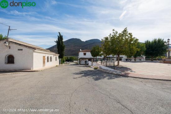 FINCA RUSTICA EN CAPARACENA - GRANADA