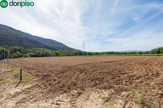 FINCA RUSTICA EN CAPARACENA - GRANADA