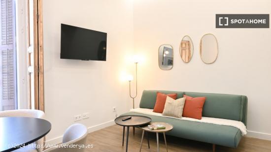 Apartamento entero de 1 habitaciones en Madrid - MADRID