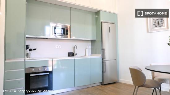 Apartamento entero de 1 habitaciones en Madrid - MADRID