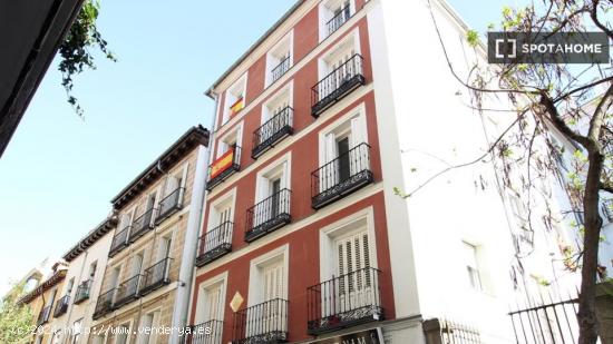 Piso en alquiler de 1 habitación en Antón Martín - MADRID