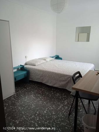  Habitación en piso compartido en Alicante (Alacant) - ALICANTE 