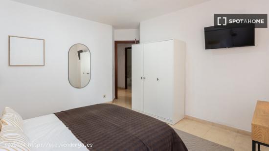 Se alquila habitación en piso compartido en Alicante - ALICANTE