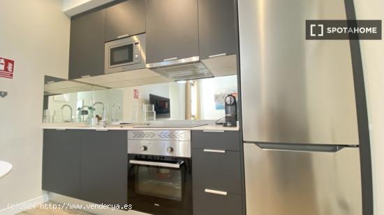 Apartamento de 1 dormitorio en alquiler en Lavapiés - MADRID