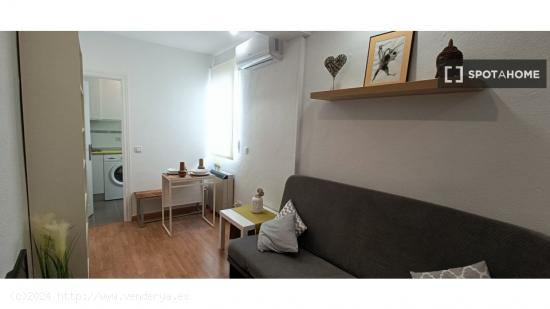 Apartamento de 1 dormitorio en alquiler en Rios Rosas - MADRID