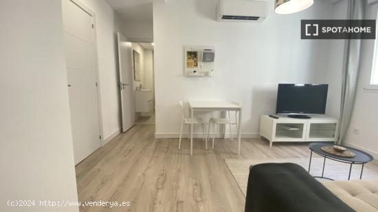 Apartamento de 1 dormitorio en alquiler en Sol - MADRID