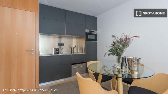 Apartamento entero de 1 dormitorio en Barcelona - BARCELONA