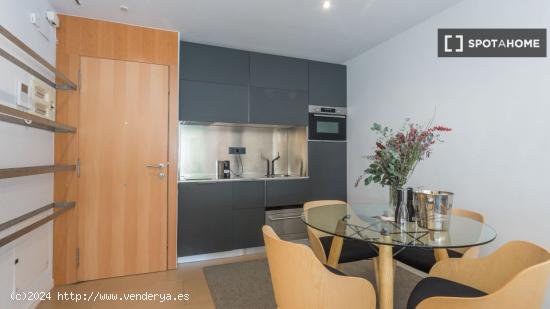 Apartamento entero de 1 dormitorio en Barcelona - BARCELONA