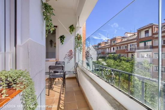 Piso en alquiler de 3 habitaciones en Argüelles, Madrid (NO ESTUDIANTES) - MADRID