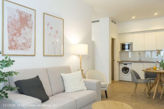 Apartamento completo de 1 dormitorio en Málaga - MALAGA