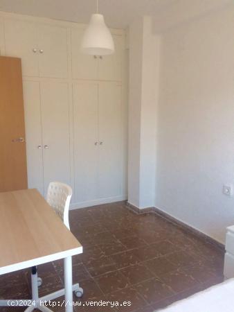 Se alquila el piso de 3 habitaciones - VALENCIA