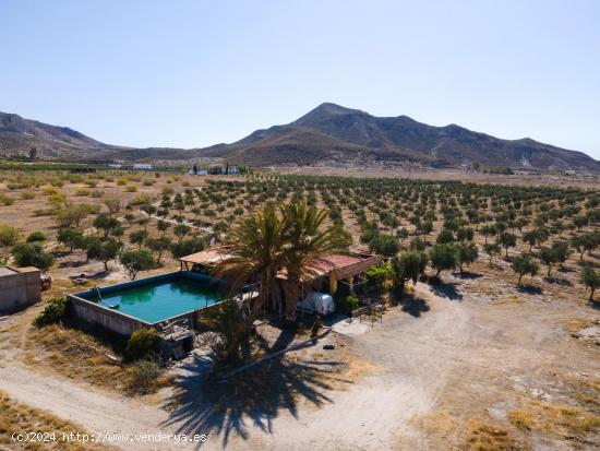 Finca de 21 Hectáreas en Tabernas - ALMERIA