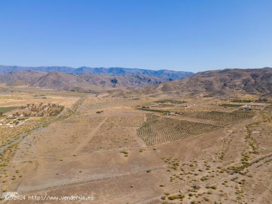 Finca de 18 Hectáreas en Tabernas - ALMERIA