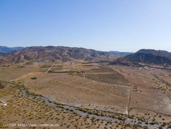 ¡Gran Oportunidad en Tabernas! Finca de 14 Hectáreas - ALMERIA