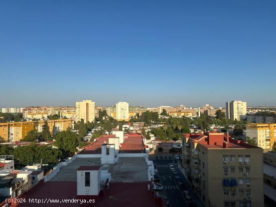  ALQUILER DE PISO ROCHELAMBERT - SEVILLA 