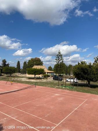 ENORME FINCA, CASA CON TERRENO A LAS AFUERAS DE ALGORFA - ALICANTE