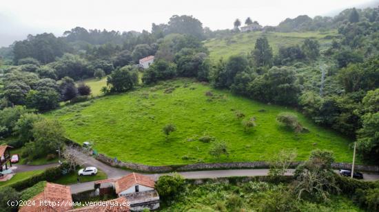  FINCA A 1,5KM DE LA PLAYA DE GUADAMIA - ASTURIAS 