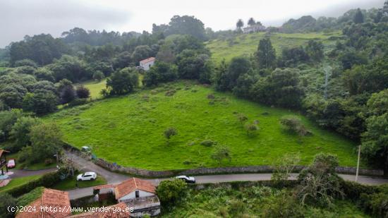 FINCA 1,5 KM DE LA PLAYA DE GUADAMIA - ASTURIAS