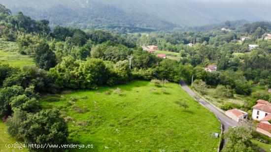 FINCA 1,5 KM DE LA PLAYA DE GUADAMIA - ASTURIAS