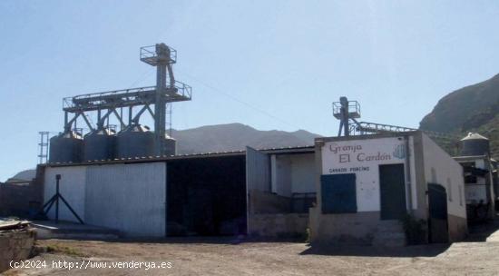 Venta de Granja Porcina en Buenavista del Norte - SANTA CRUZ DE TENERIFE