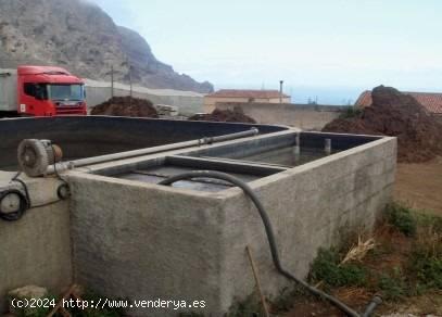 Venta de Granja Porcina en Buenavista del Norte - SANTA CRUZ DE TENERIFE