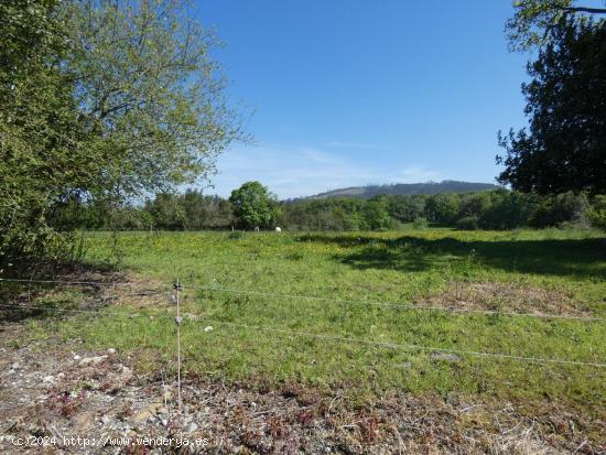 Se Vende en Villaviciosa - ASTURIAS