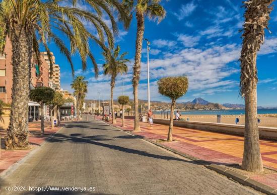 Vivienda en  Playa de Campello junto al Paseo MArítimo - ALICANTE